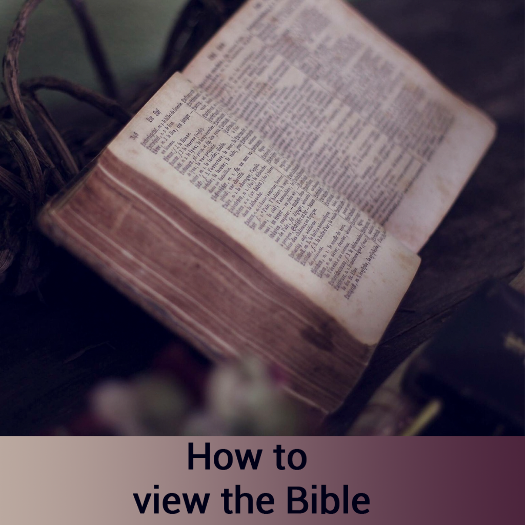 how to view the bible banner
